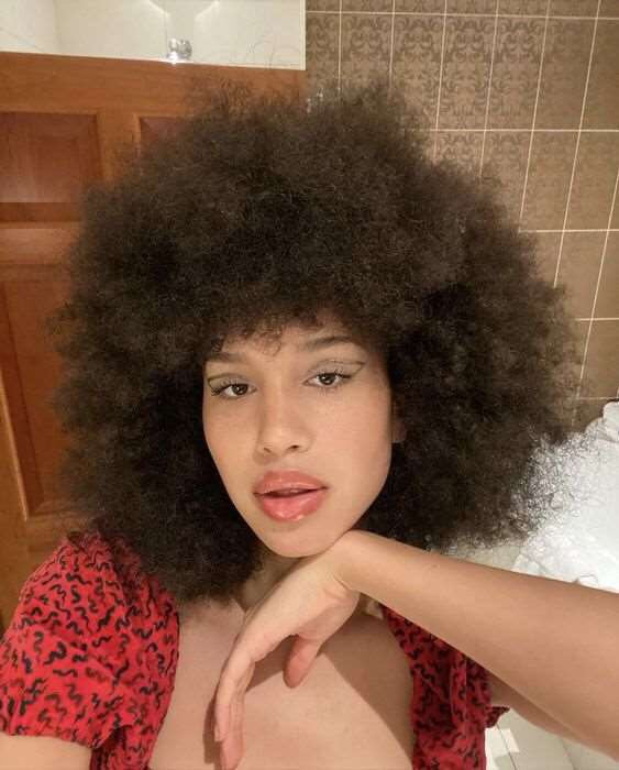 Perruque Afro crépue bouclée, brésilien pour femmes noires,  courts, marron bordeaux
